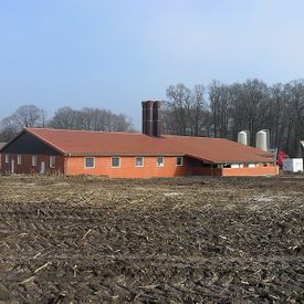 Stallbau in Nordhorn