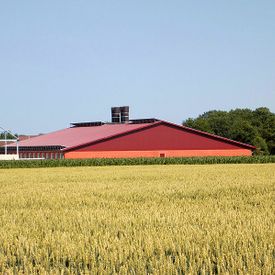 Stall- und Scheunenbau in Laer