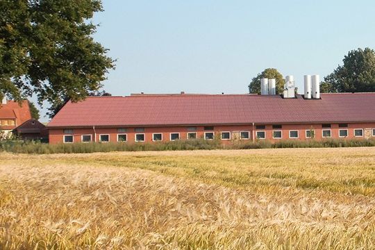 Projekte & Referenzen aus Agrarbau - Architekturbüro Niehoff in Schöppingen